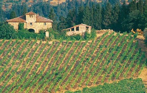 Langhe Wein Tour in Norditalien