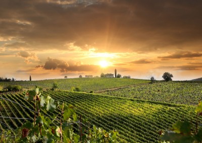 Weintouren in der Toskana