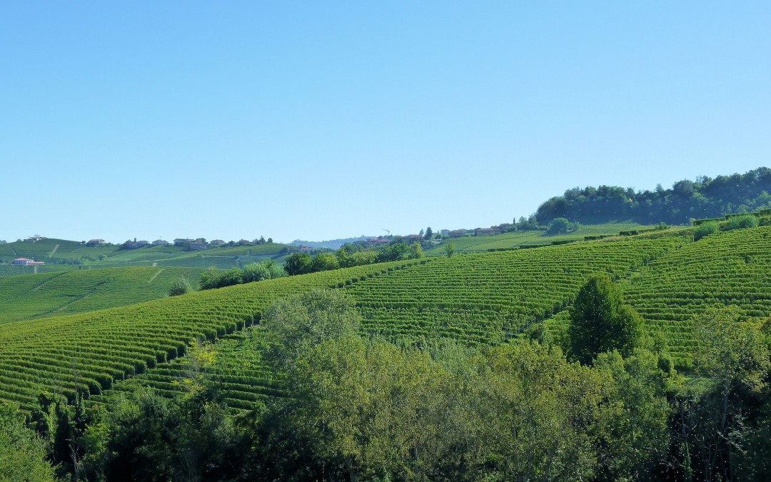 Destination of the Month: The Piedmont